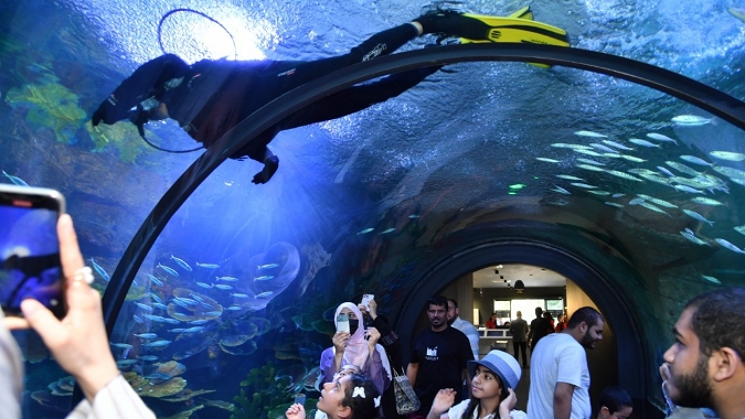 ‘Trabzon Akvaryum’ dolup taşıyor!