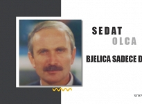 Nenad Bjelica sadece diblördü