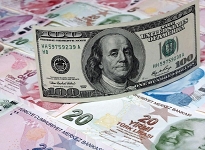 Dolar karşısında en büyük değer kaybı TL'nin