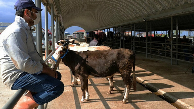 Kurban kesimi tebliği yayımlandı
