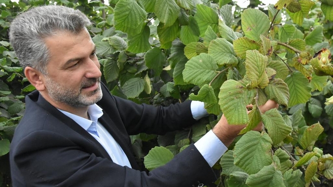 Mumcu’dan Arsin TMO ziyareti 