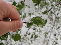 Meteoroloji'den kuvvetli yağış uyarısı