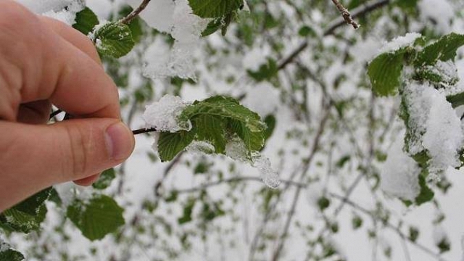 Meteoroloji'den kuvvetli yağış uyarısı