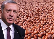 Erdoğan'dan fındık fiyatı müjdesi