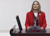 Sibel Suiçmez '24 saate 8 kadın katledildi'