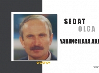 Yabancılara Akan Servet